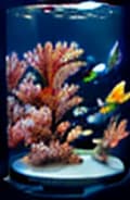  masterpiece, best quality, Most Beautiful in deep sea teeming with vibrant corals, diverse marine life, and enchanting underwater landscapes, full of corals, acrophore, small fishes, anemones, dolphin, various algaes, caves, colorful,all captured in stunning 8k resolution with intricate details.