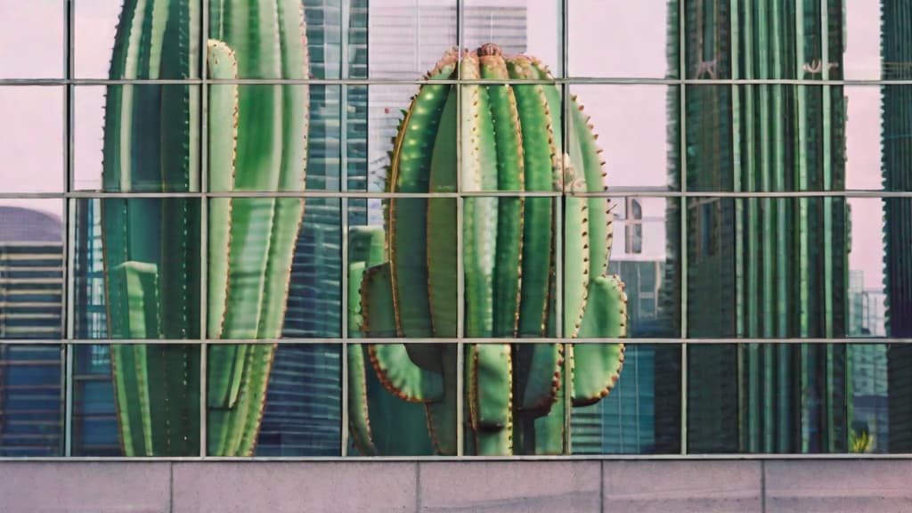  a glass cactus in the middle of a big city