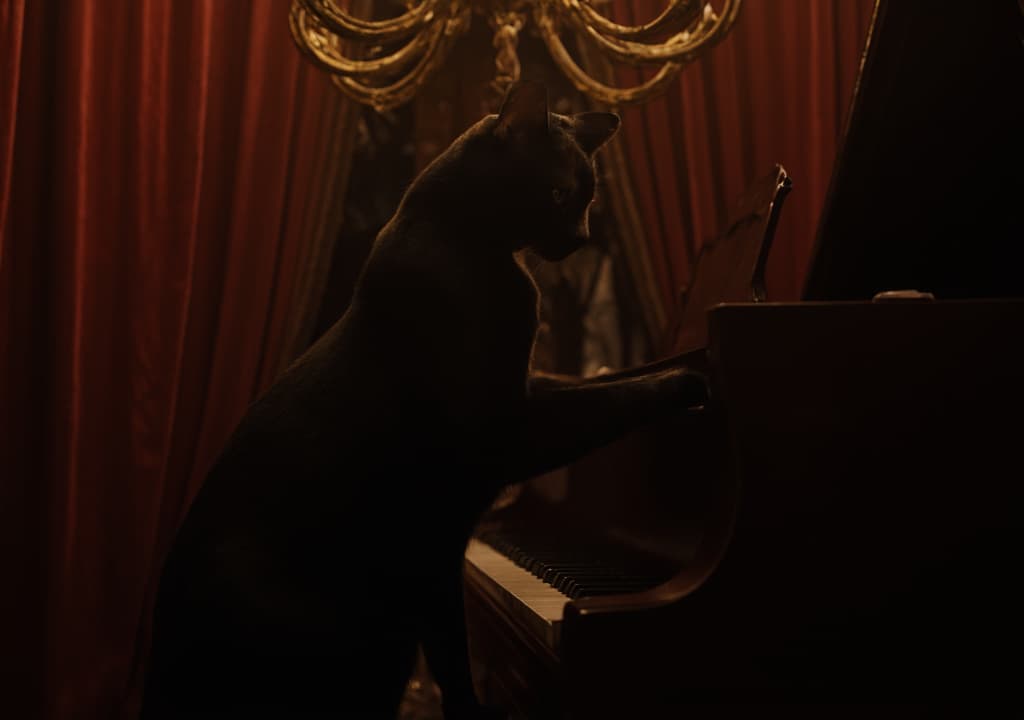  good quality, high quality, a cat, sitting upright on a grand piano, with its paws delicately pressing the keys. the setting is a luxurious, dimly lit room with velvet curtains and a chandelier overhead. the cat is a sleek, black feline with a shiny coat, and its eyes are focused intently on the keys as if it’s deeply engrossed in the music. the piano is polished to a high sheen, reflecting the soft glow of the chandelier, and there’s a faint sense of magic in the air.