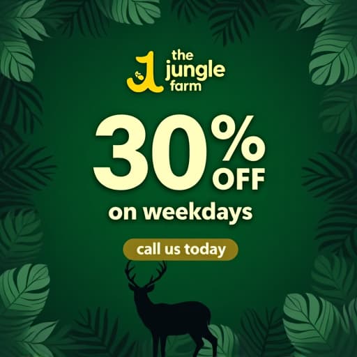  create a wildlife themed offer post for 'the junglee farm' with the following elements: main message: '30% off on weekdays' in bold, natural colored font (dark green or earthy brown). call to action: 'call us today' prominently displayed below the offer. theme: incorporate elements of wildlife, such as silhouettes of animals (e.g., deer, elephants, birds), lush greenery, and natural textures like wood or leaves. logo style: place 'the junglee farm' logo at the top of the post. the logo should use a bold, serif font with slightly curved edges, similar to the one provided. the text should have an embossed or slightly raised effect, in an off white or light cream color, on a dark green background. the logo should be surrounded by jungle folia hyperrealistic, full body, detailed clothing, highly detailed, cinematic lighting, stunningly beautiful, intricate, sharp focus, f/1. 8, 85mm, (centered image composition), (professionally color graded), ((bright soft diffused light)), volumetric fog, trending on instagram, trending on tumblr, HDR 4K, 8K