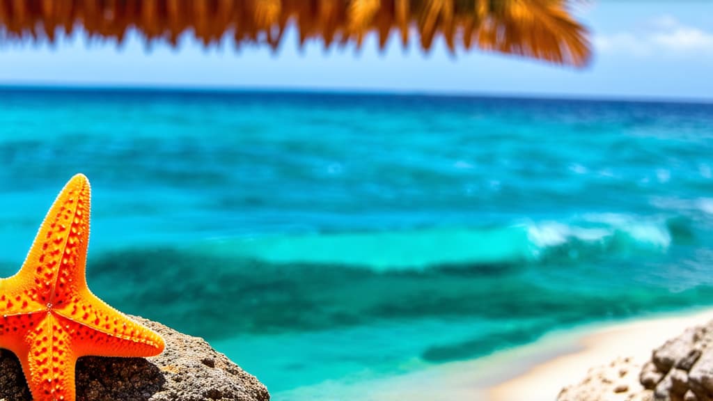  a bright orange starfish on an organic rock overlooking crystal clear turquoise waters and gentle waves surrounded by a tropical beach. the scene is flooded with warm sunlight and soft shadows create depth. cute soft toy. a blurred background of tropical palm trees adds detail to the tranquil atmosphere of the coastal landscape ar 16:9 {prompt}, maximum details