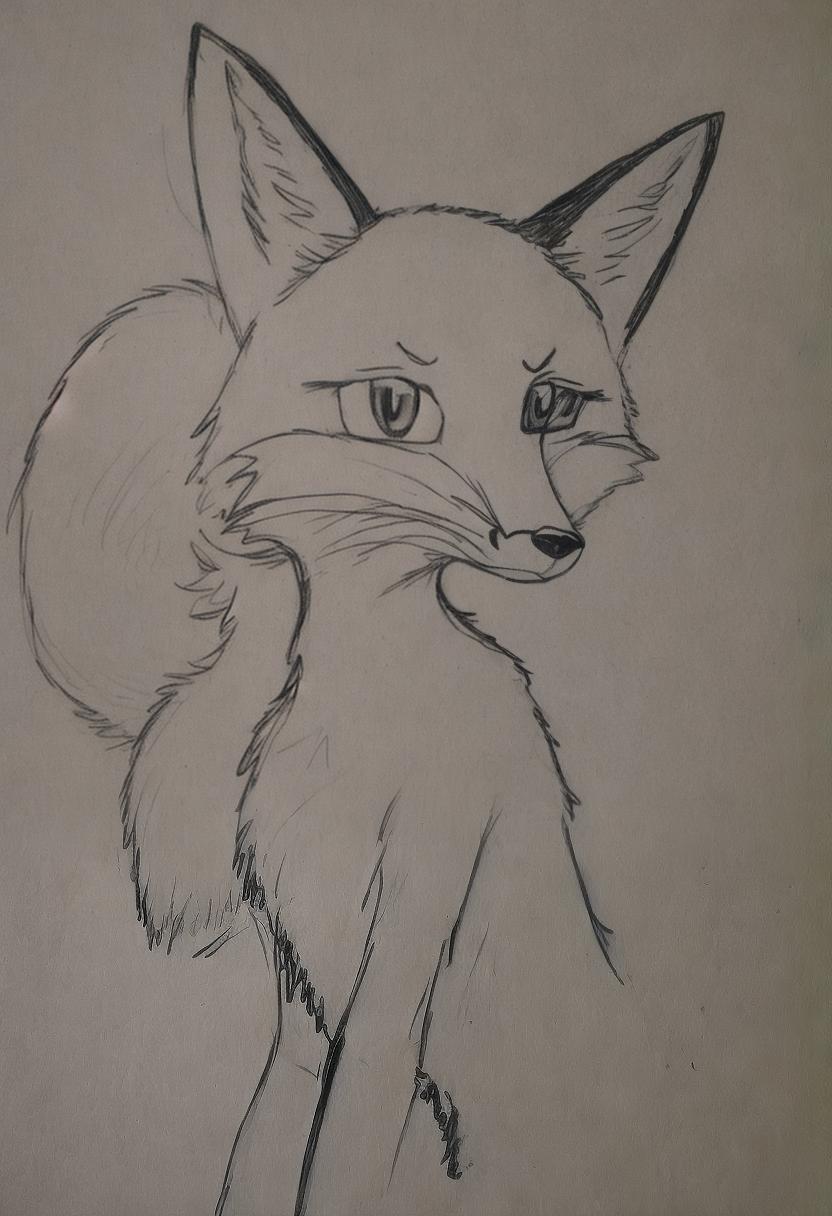  fox